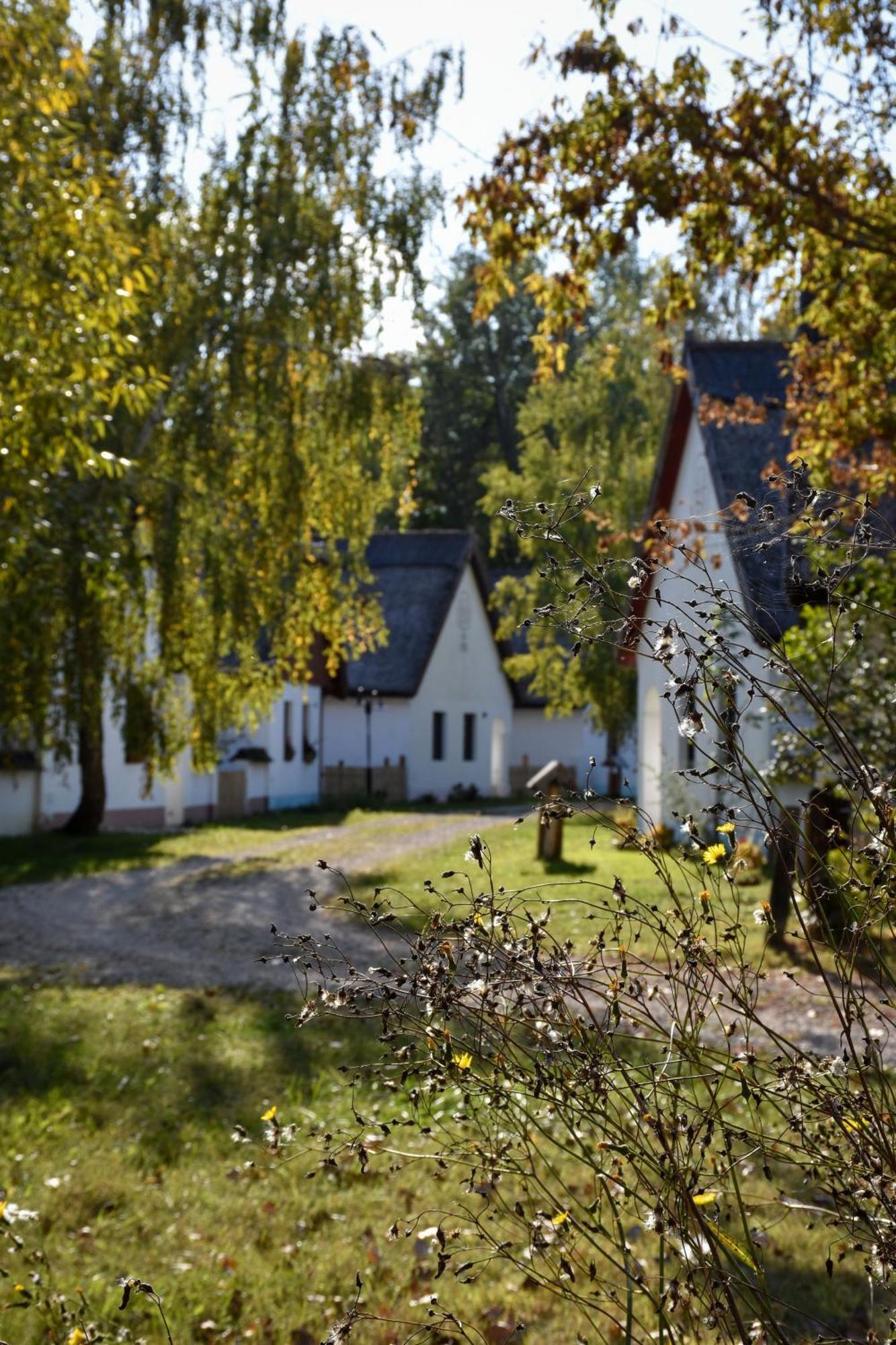 Hotel Bohém Birtok és Csárda Zamárdi Esterno foto